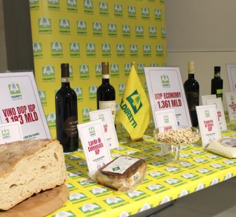 L’INESTIMABILE VALORE AMBIENTALE E PAESAGGISTICO DELL’AGRICOLTURA TOSCANA, TRA OPPORTUNITA’ E MINACCE